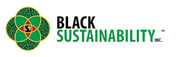 BSN Logo